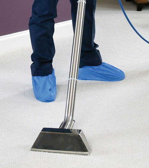 carpet cleaning nyc